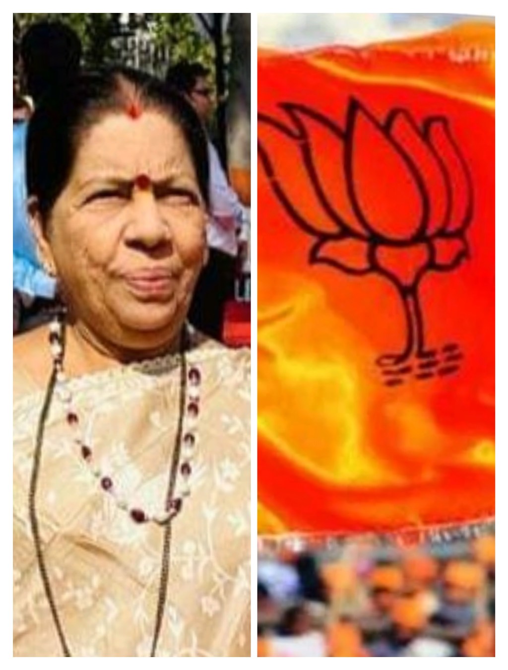 आमदार मंदाताई म्हात्रे यांच्या उमेदवारी निश्चितीमुळे समर्थकांसहित जिल्हा भाजपमध्येही उत्साहाचे वातावरण; “न भूतो न भविष्यती” इतिहास रचण्यासाठी&nbsp;सज्ज