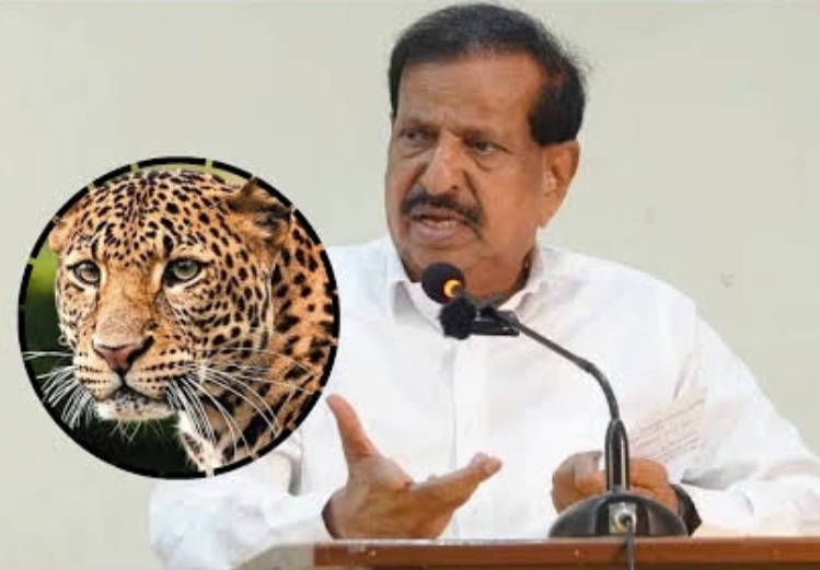 बिबट्या, शेळ्या अन् बिन…&nbsp;मंत्री..!!